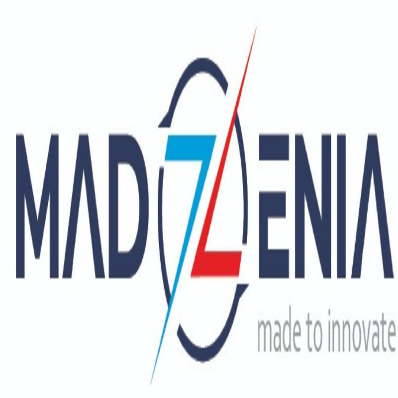 Best SEO Service Company in Noida | Madzenia